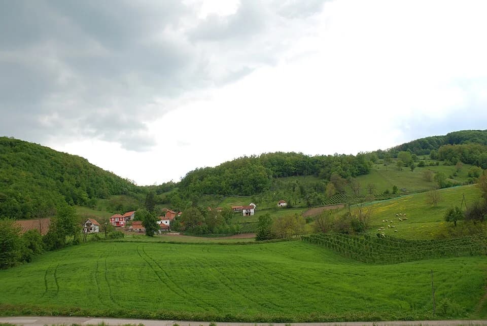 Brezovice
