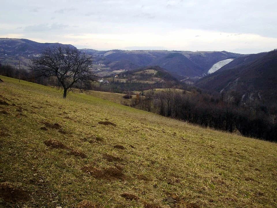 Brezovice
