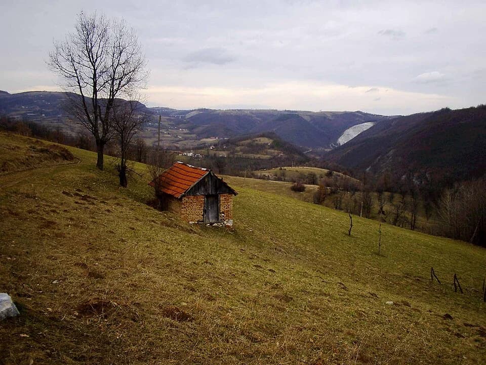 Brezovice