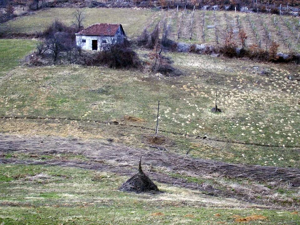 Brezovice