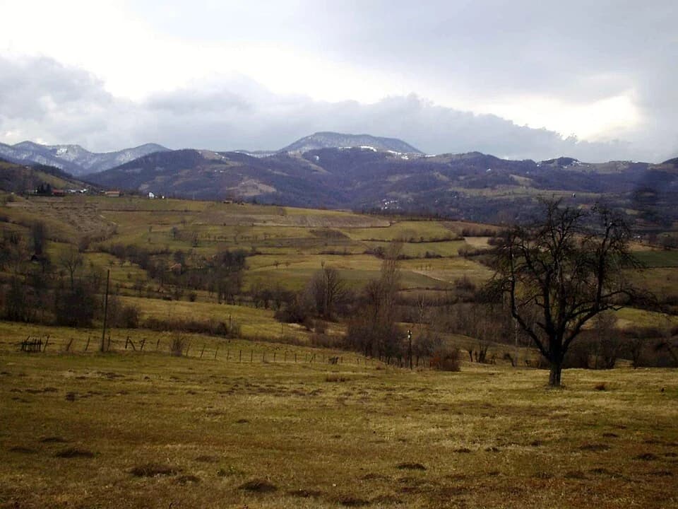 Brezovice
