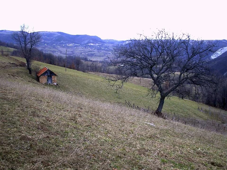 Brezovice
