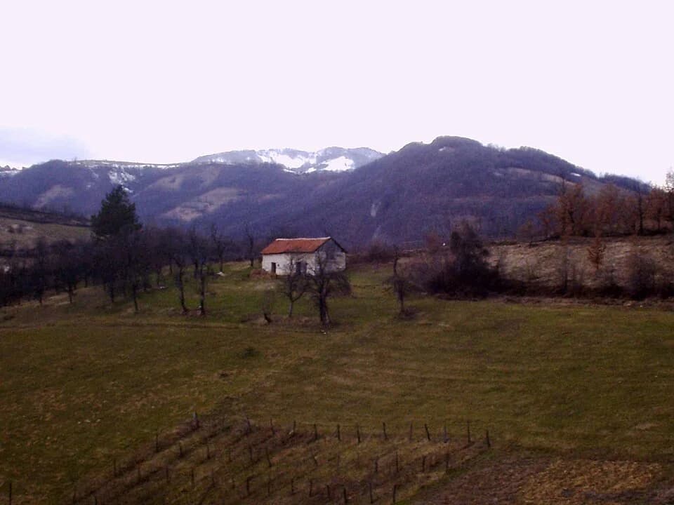 Brezovice
