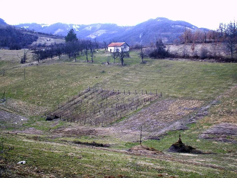 Brezovice