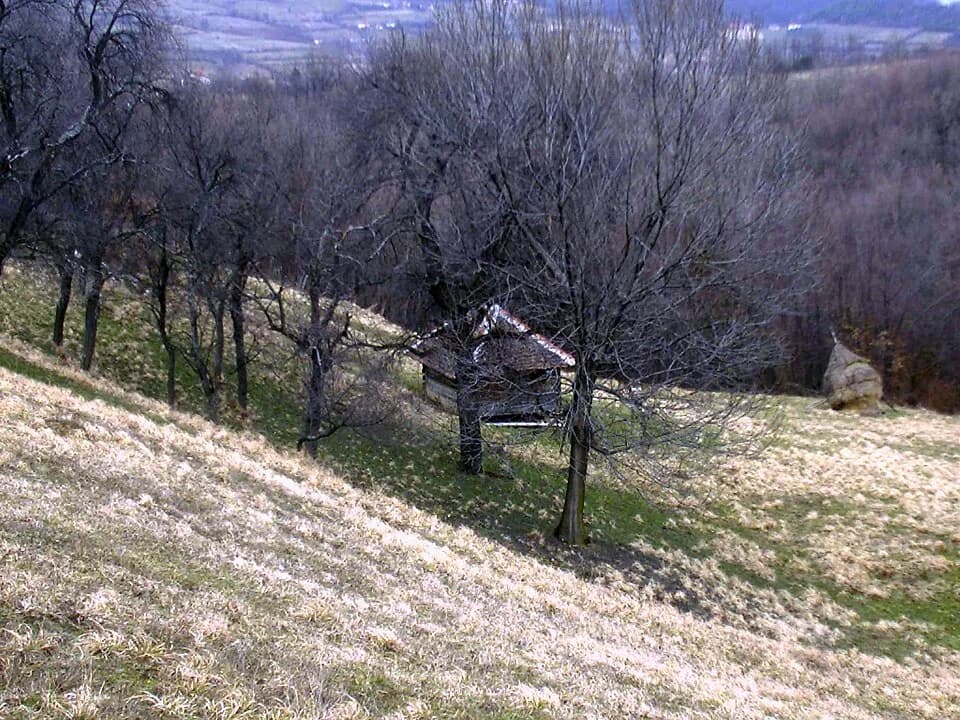 Brezovice