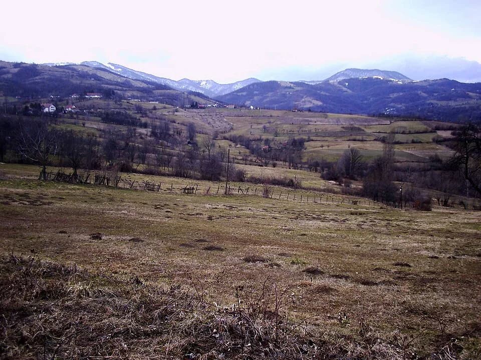 Brezovice