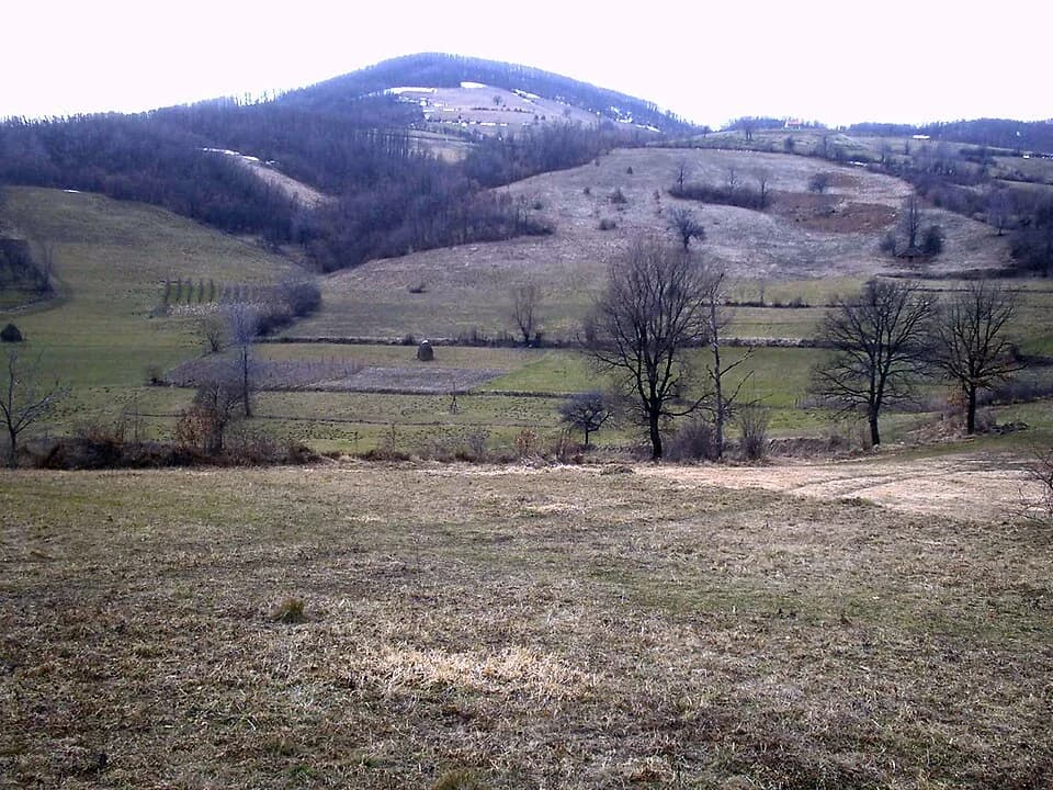 Brezovice