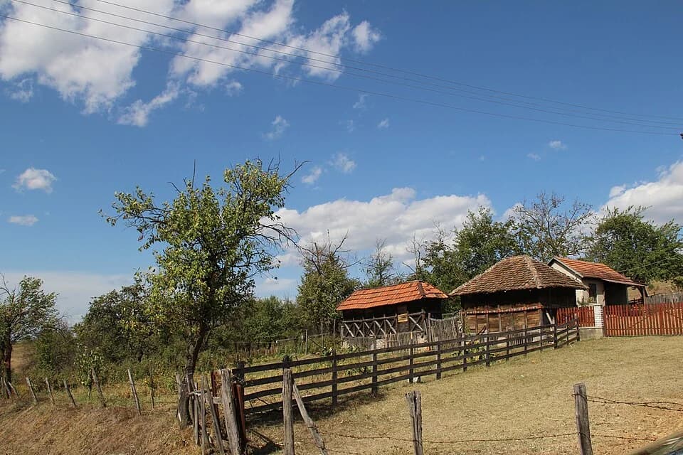 Babina Luka