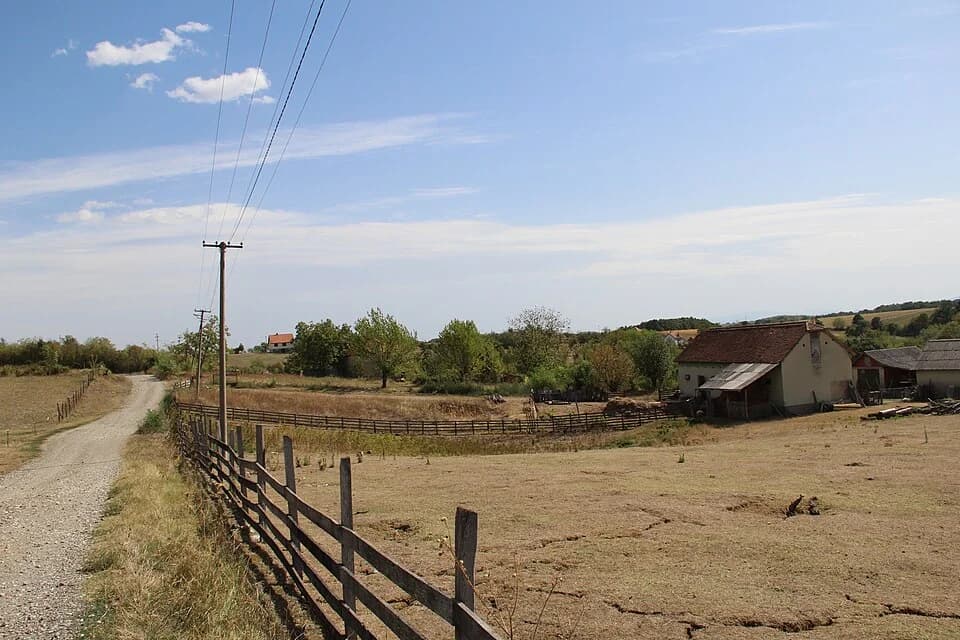 Babina Luka