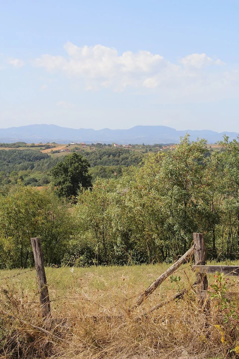 Babina Luka