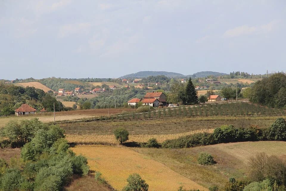 Blizonje