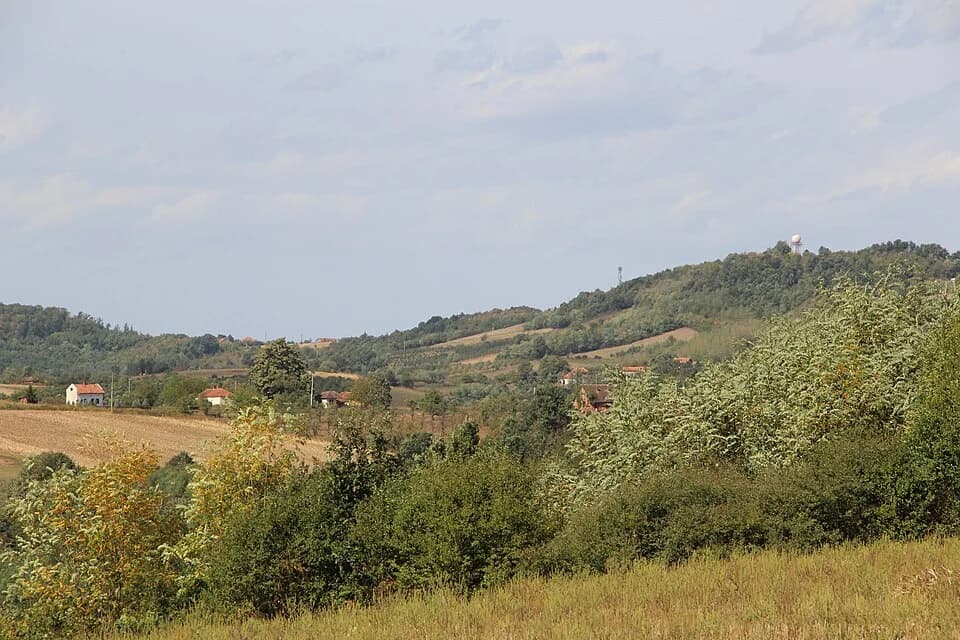 Blizonje