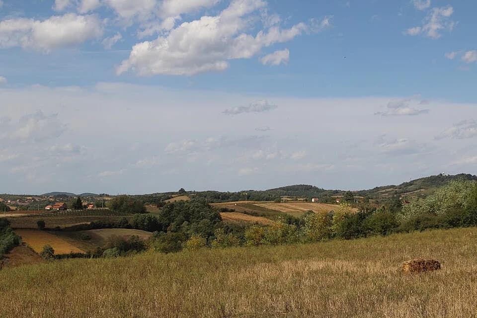 Blizonje