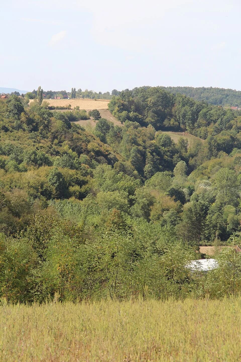 Blizonje