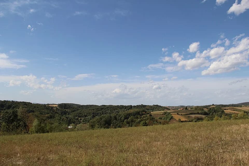 Blizonje