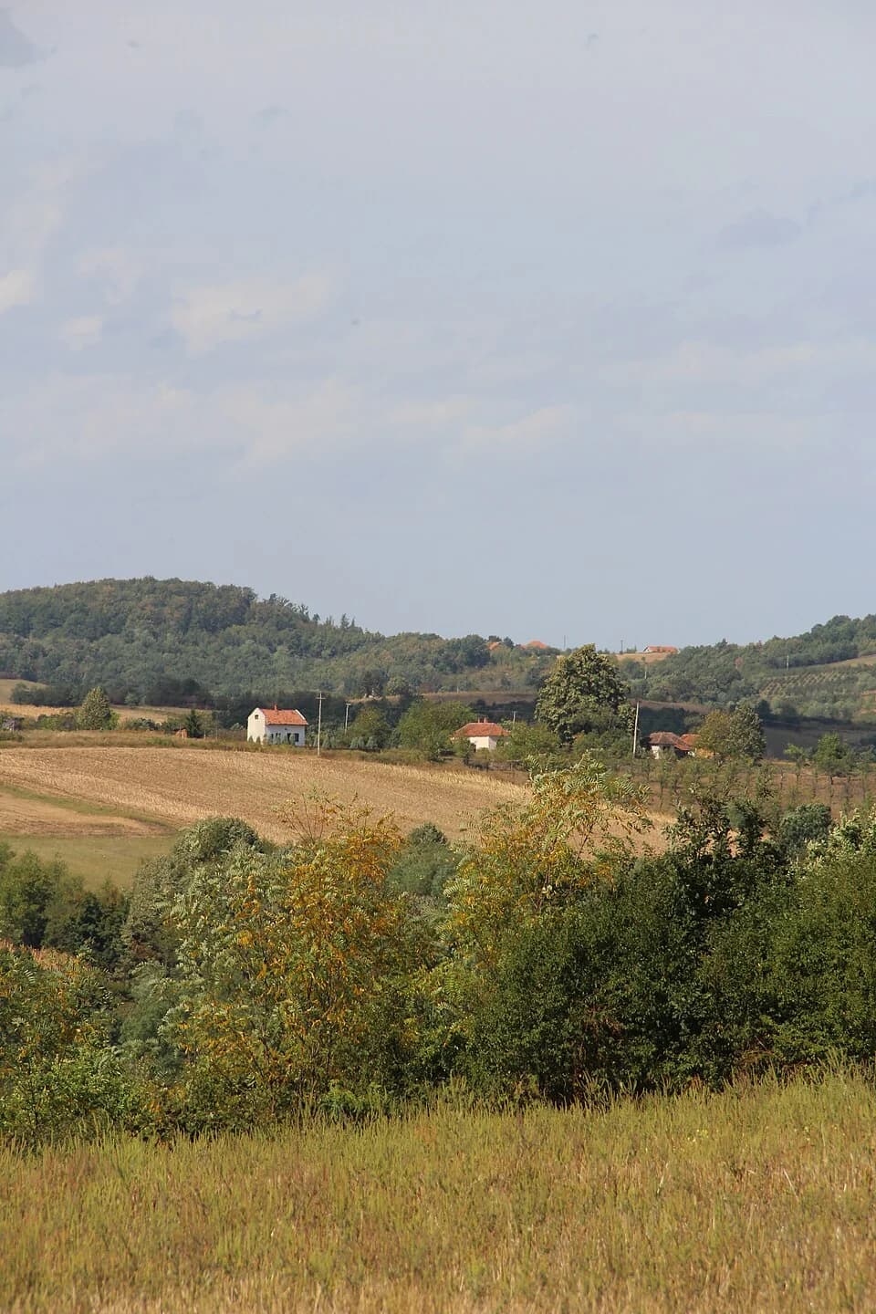Blizonje