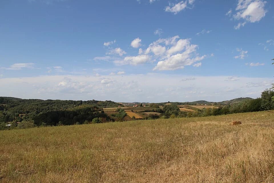 Blizonje