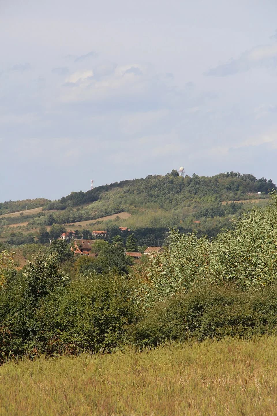Blizonje