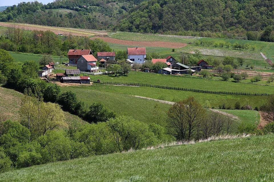 Kozličić