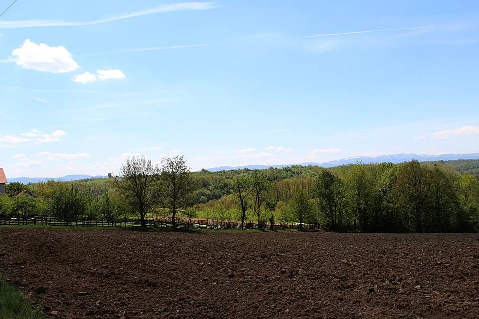 Kozličić