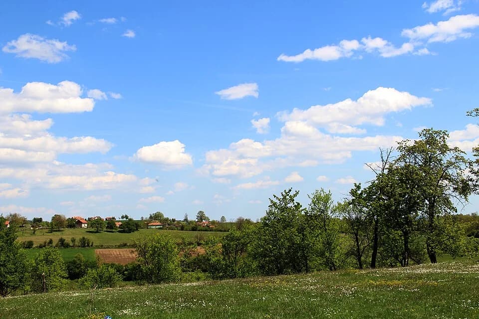 Kozličić