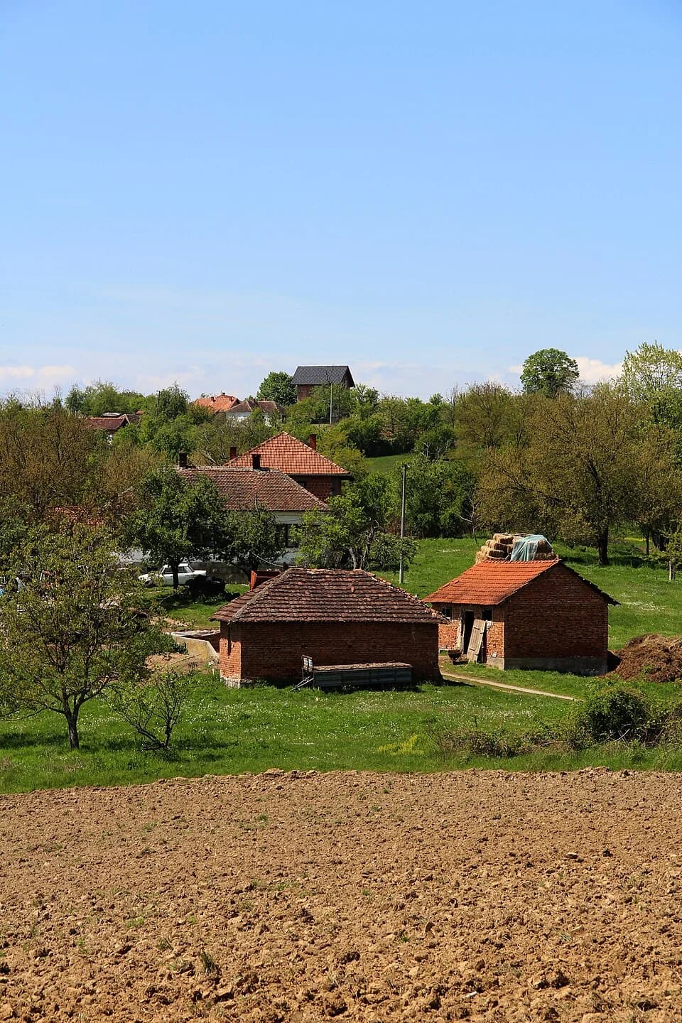 Kozličić