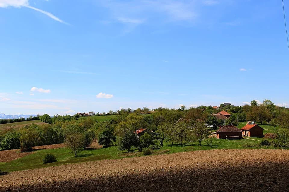 Kozličić