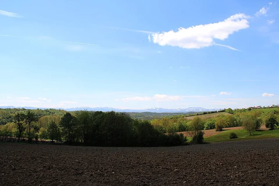 Kozličić