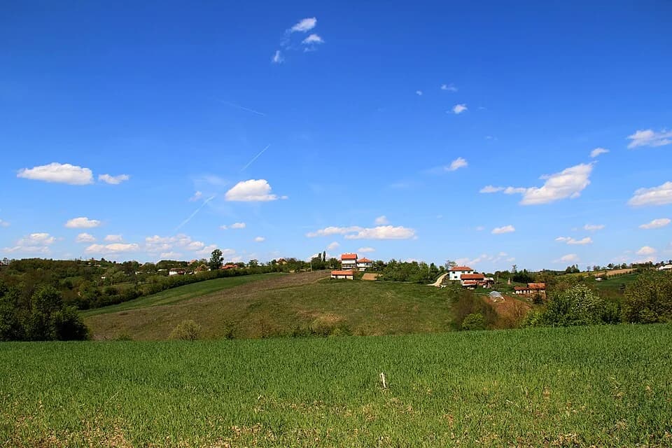 Kozličić