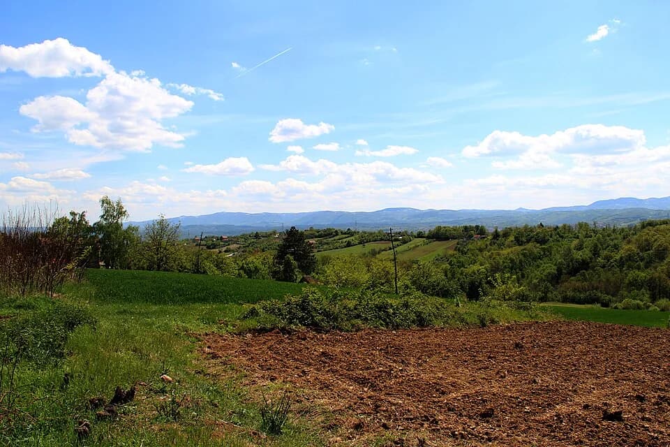 Gornja Grabovica