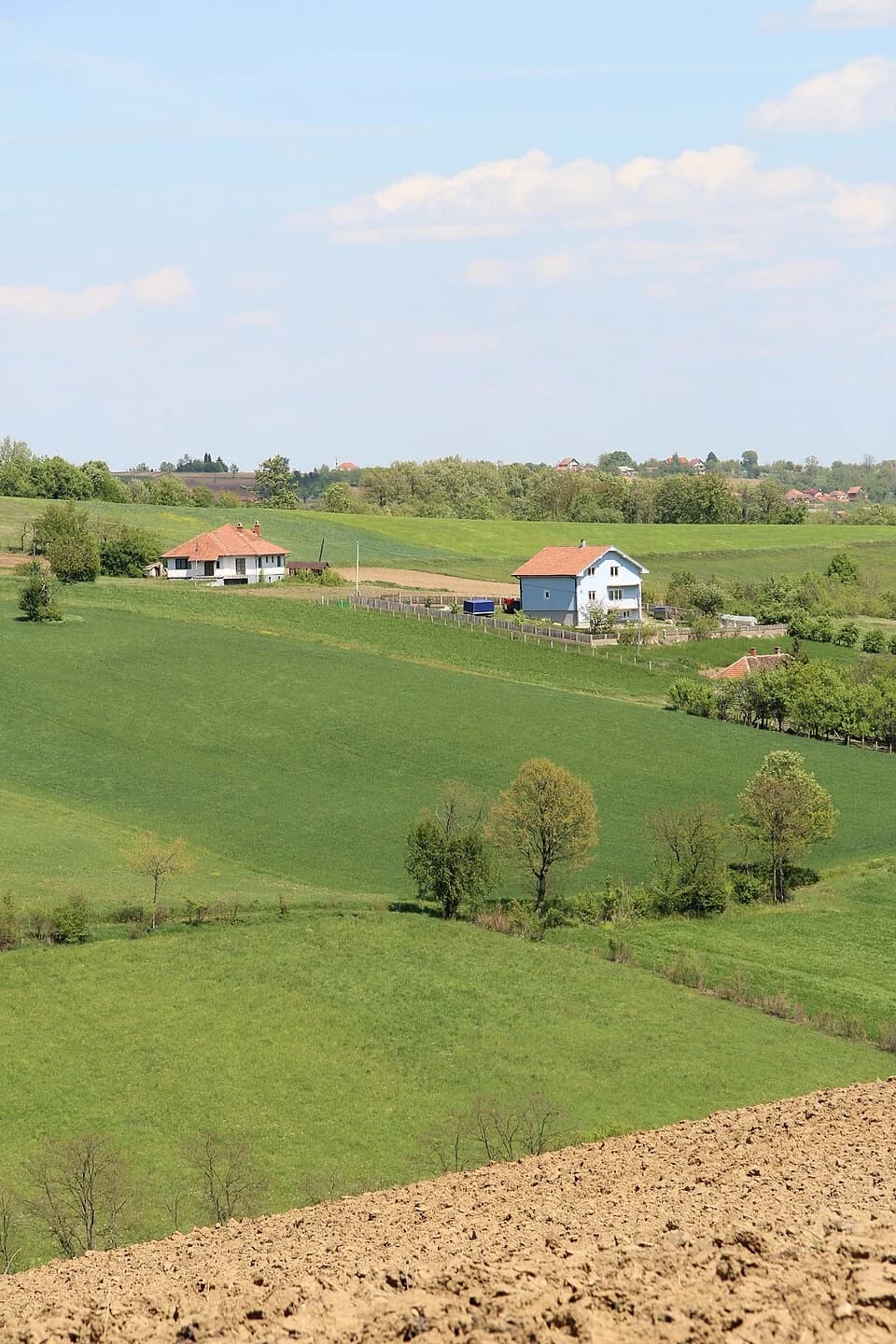 Gornja Grabovica