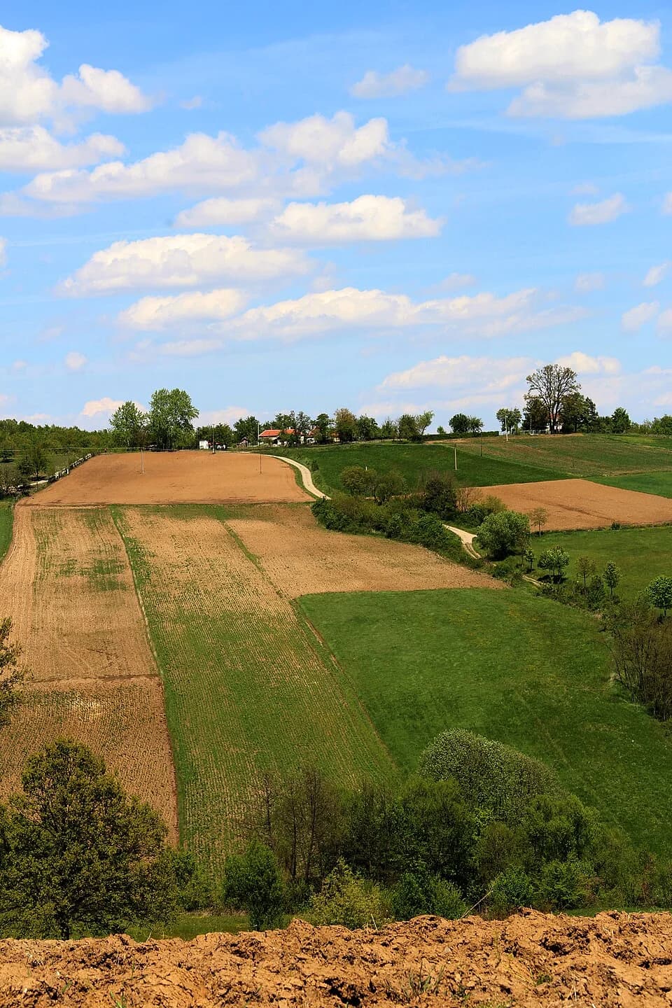 Gornja Grabovica