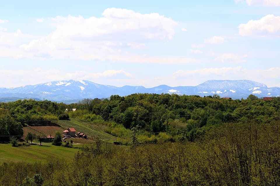 Gornja Grabovica
