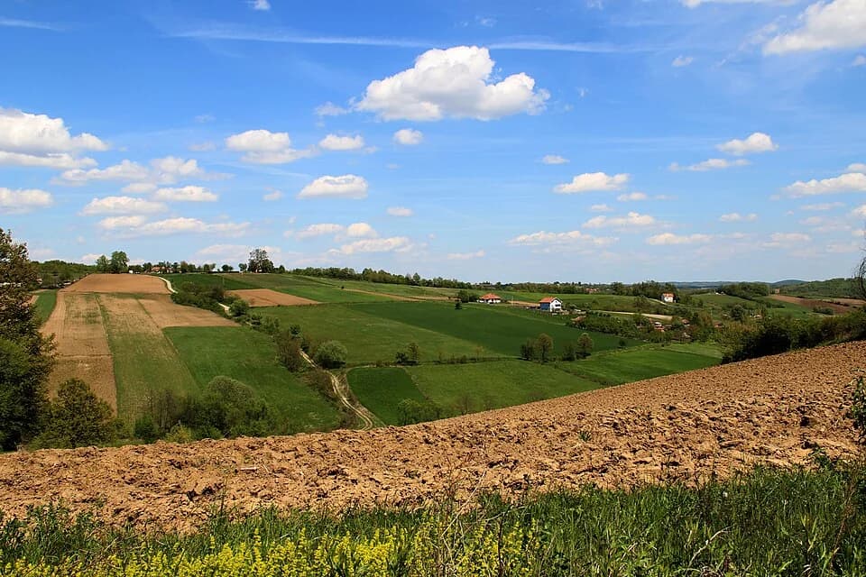 Gornja Grabovica