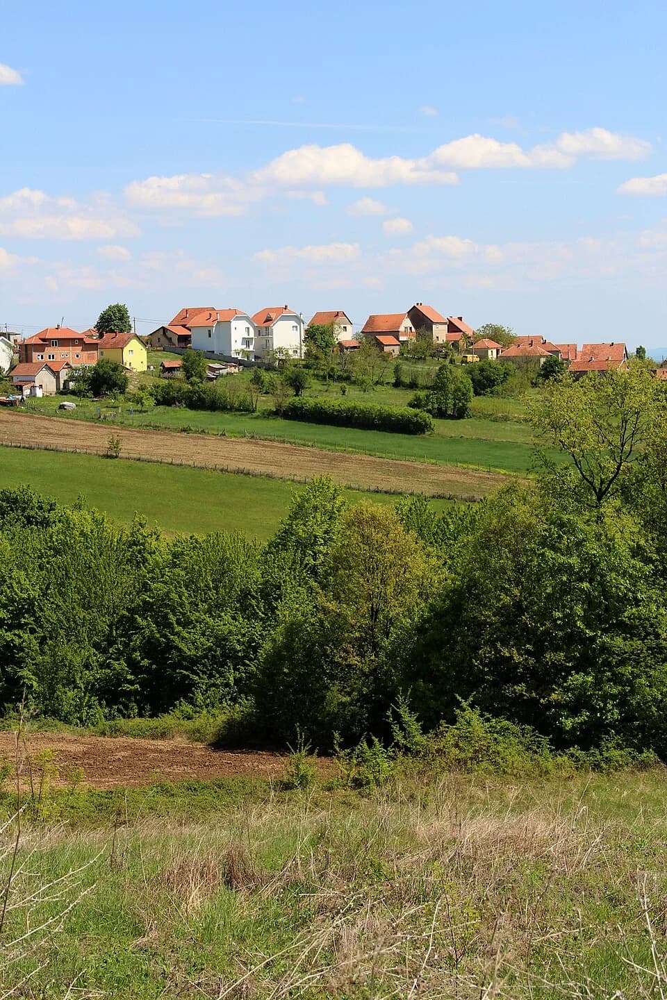 Gornja Grabovica