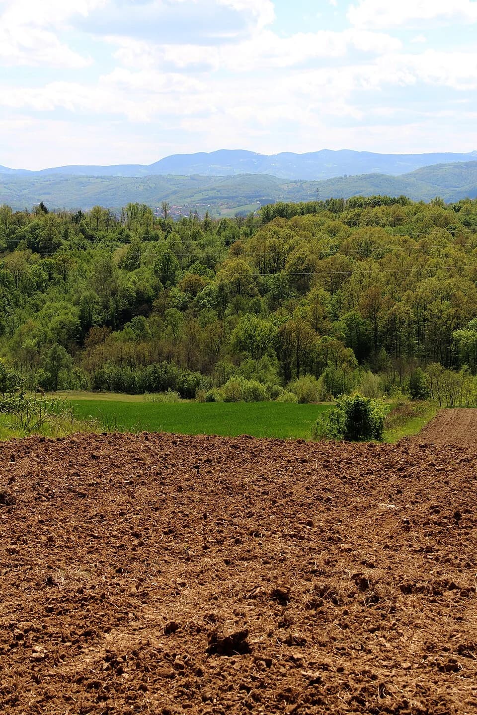 Gornja Grabovica