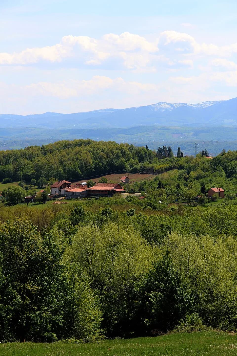 Gornja Grabovica