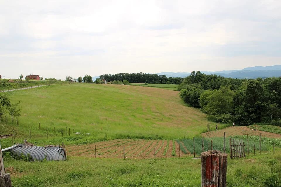 Rađevo Selo