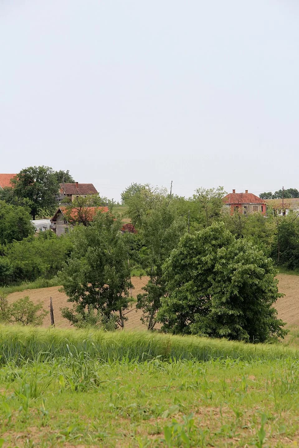 Rađevo Selo