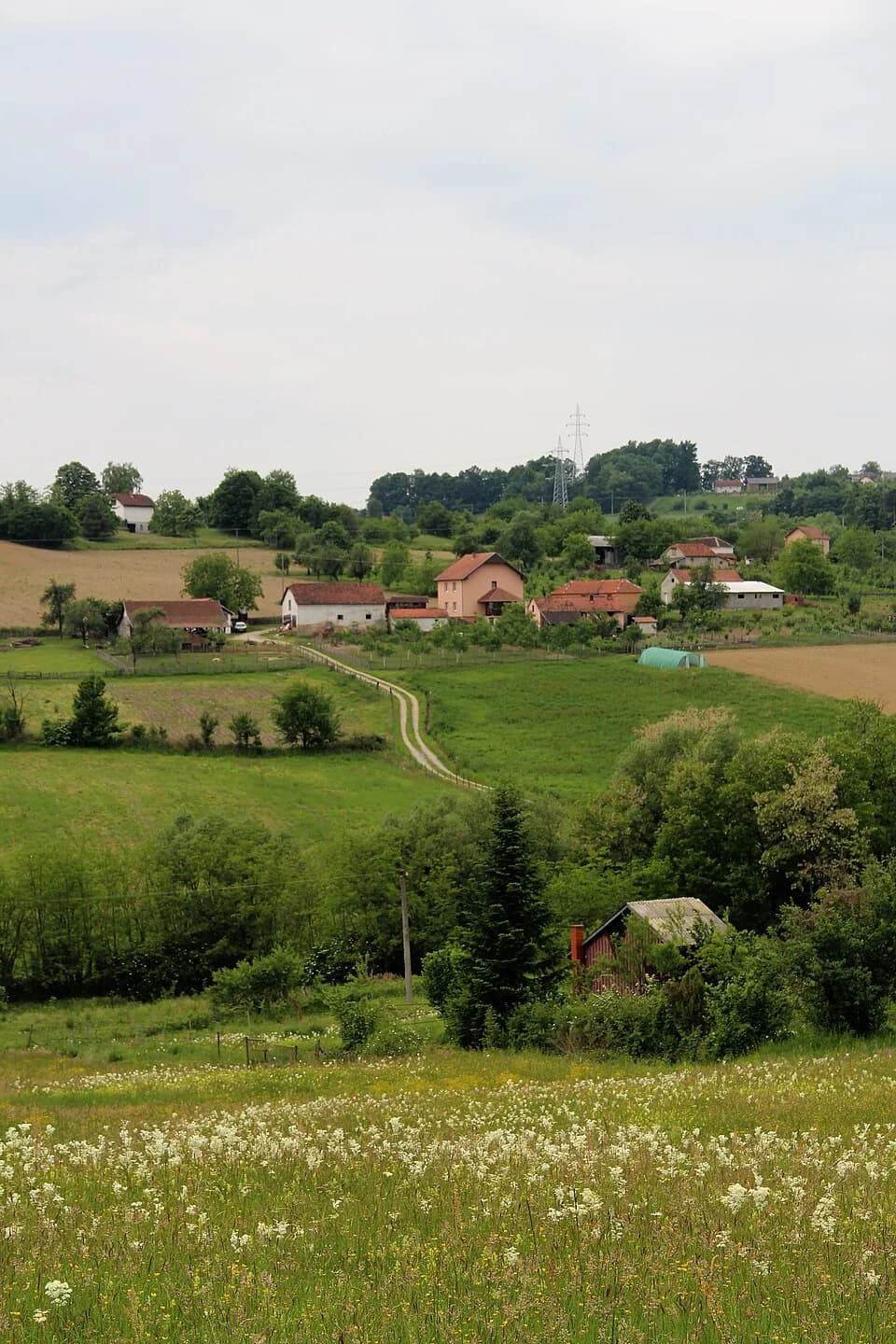 Rađevo Selo