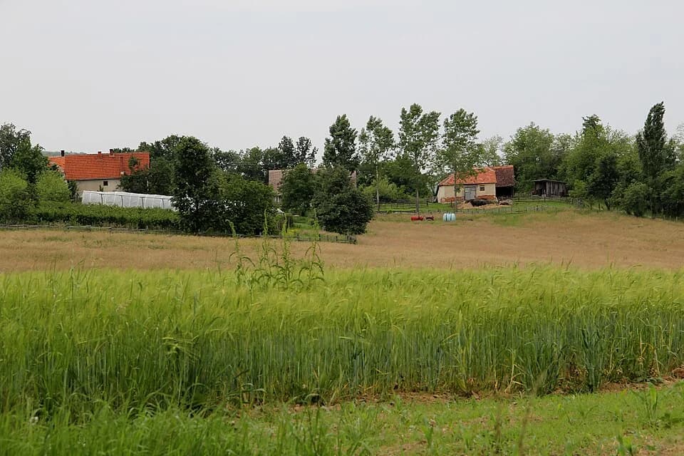 Rađevo Selo