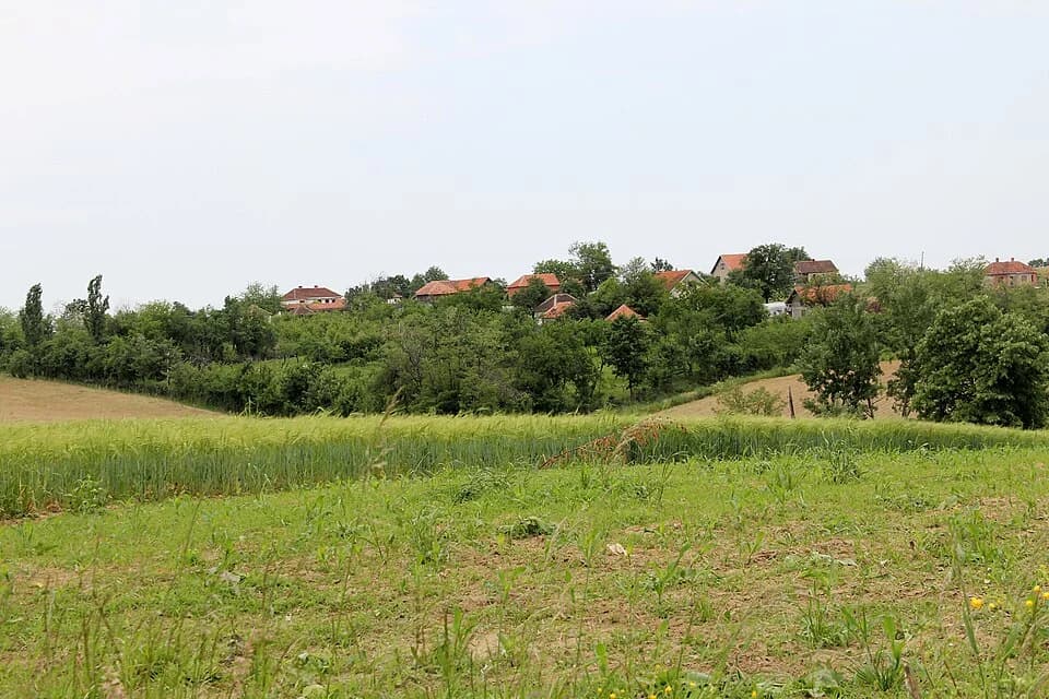 Rađevo Selo