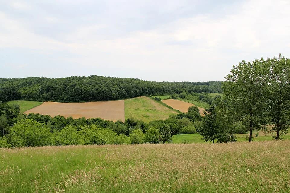 Rađevo Selo