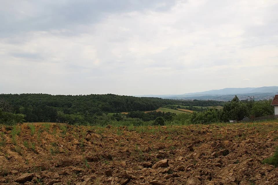 Rađevo Selo