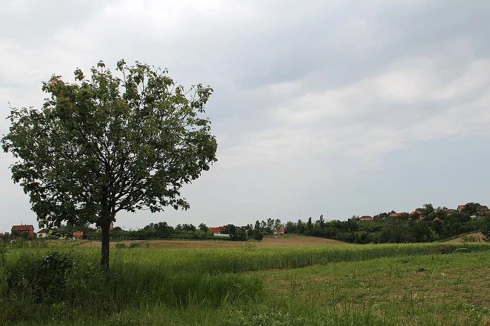Rađevo Selo