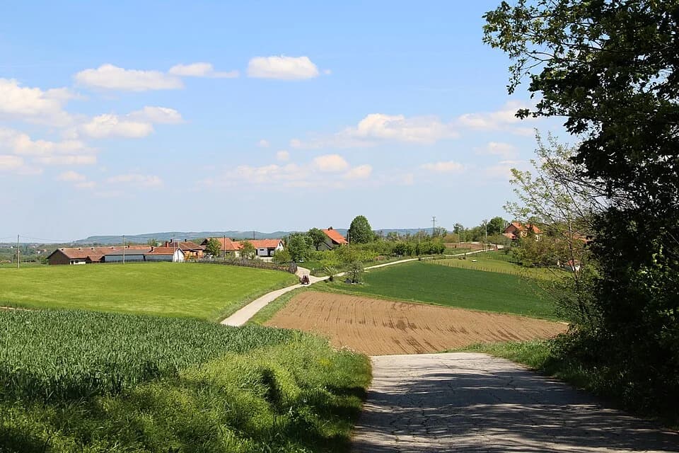 Zabrdica