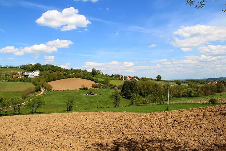 Jasenica
