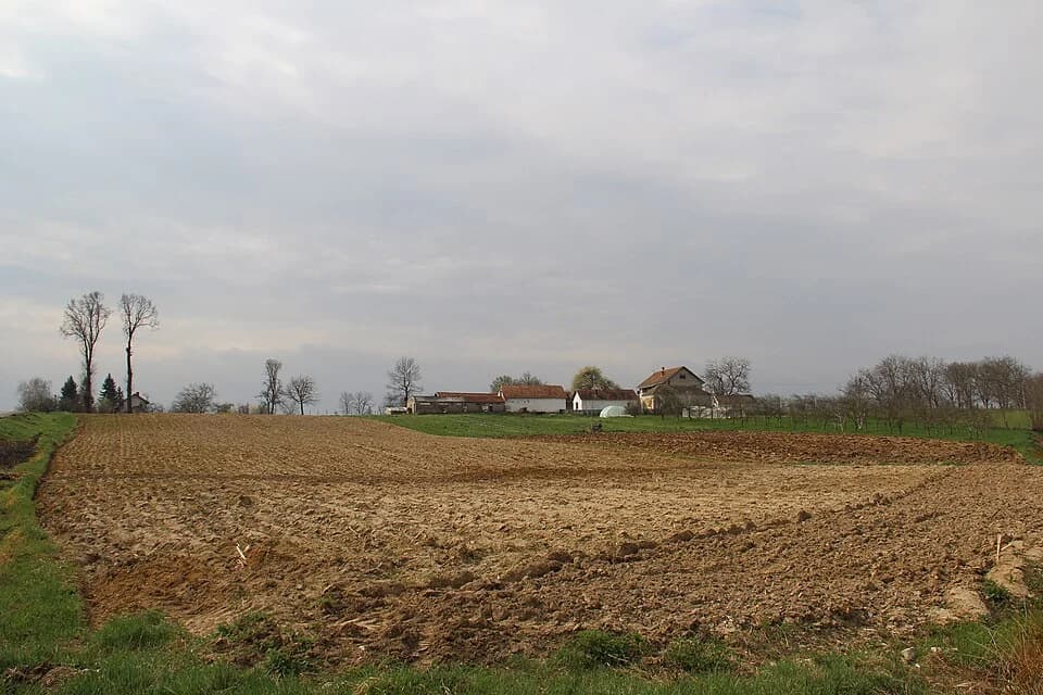 Gorić