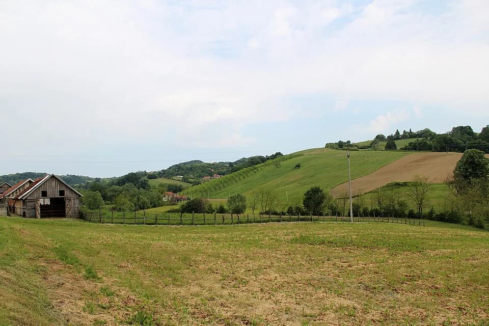 Gornja Bukovica