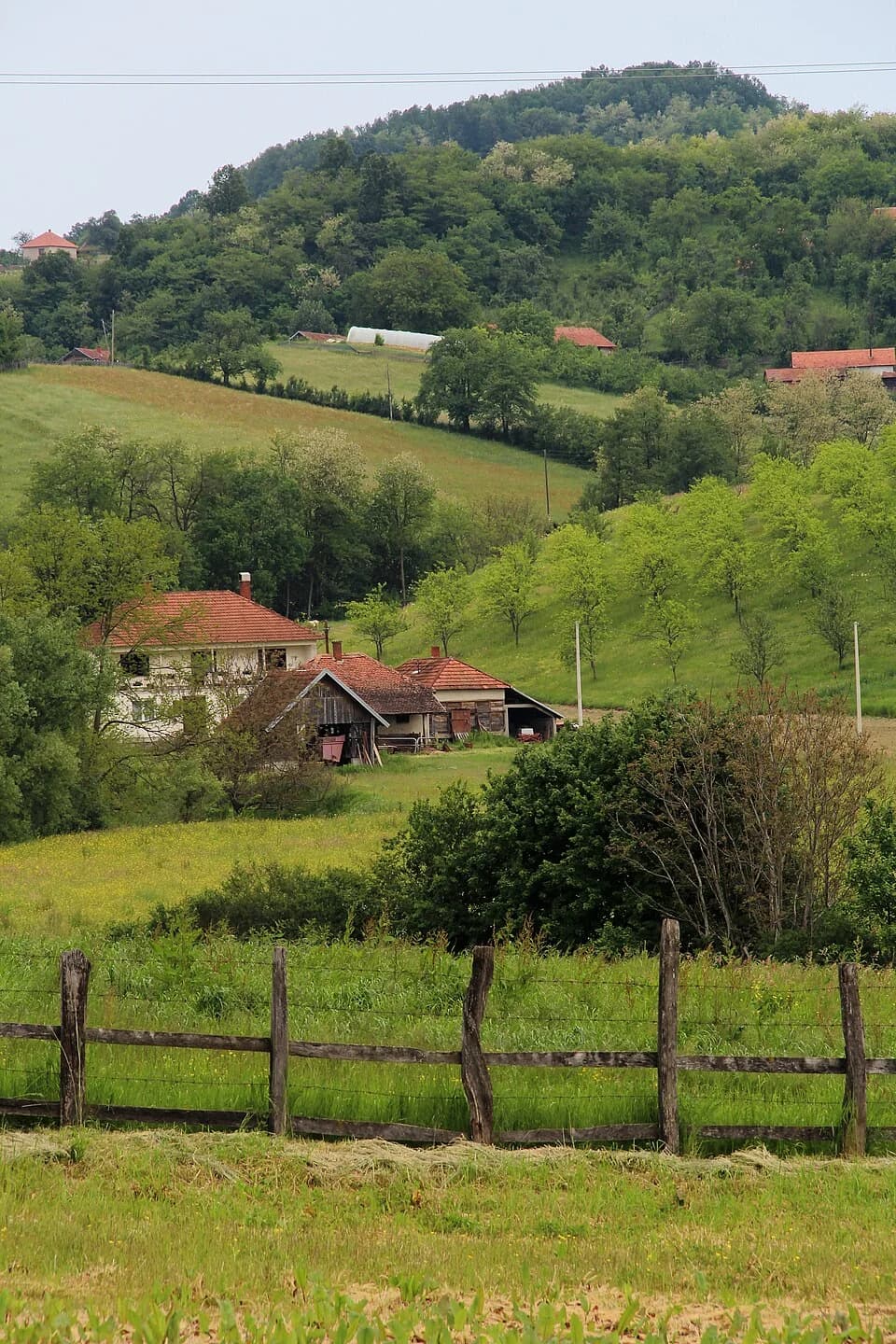 Gornja Bukovica